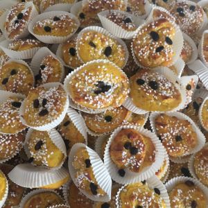 Kom och gotta er på Danderyd hunddagis