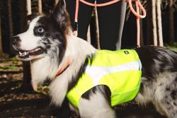 Att synas i mörkret räddar liv