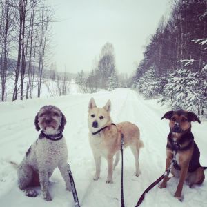 Changdobels 8 mars - En skön dag ute i snön