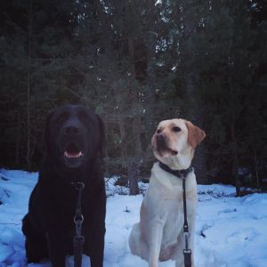 En härlig start på denna tisdag