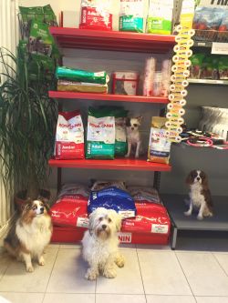 Nu har vi äntligen fått in Royal Canin på Changdobels!